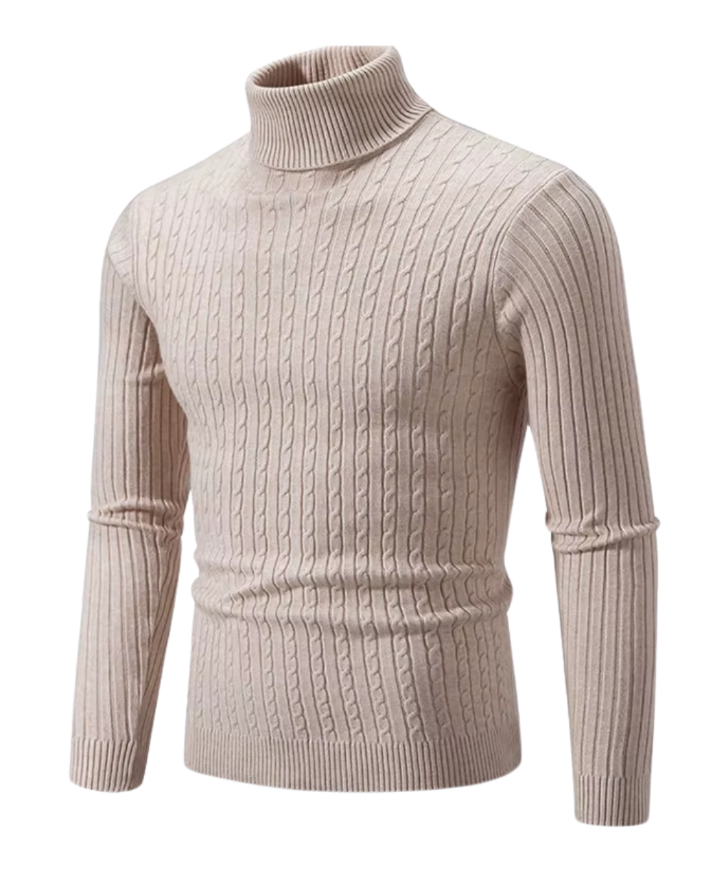 Premium Men's Turtleneck